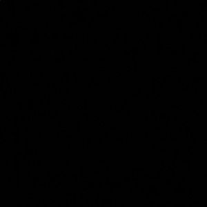 Meet your Posher, Toni